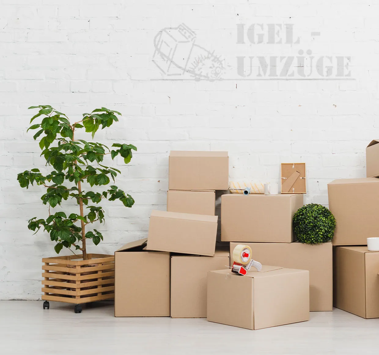 igel umzüge umzugsunternehmen berlin Dortmund