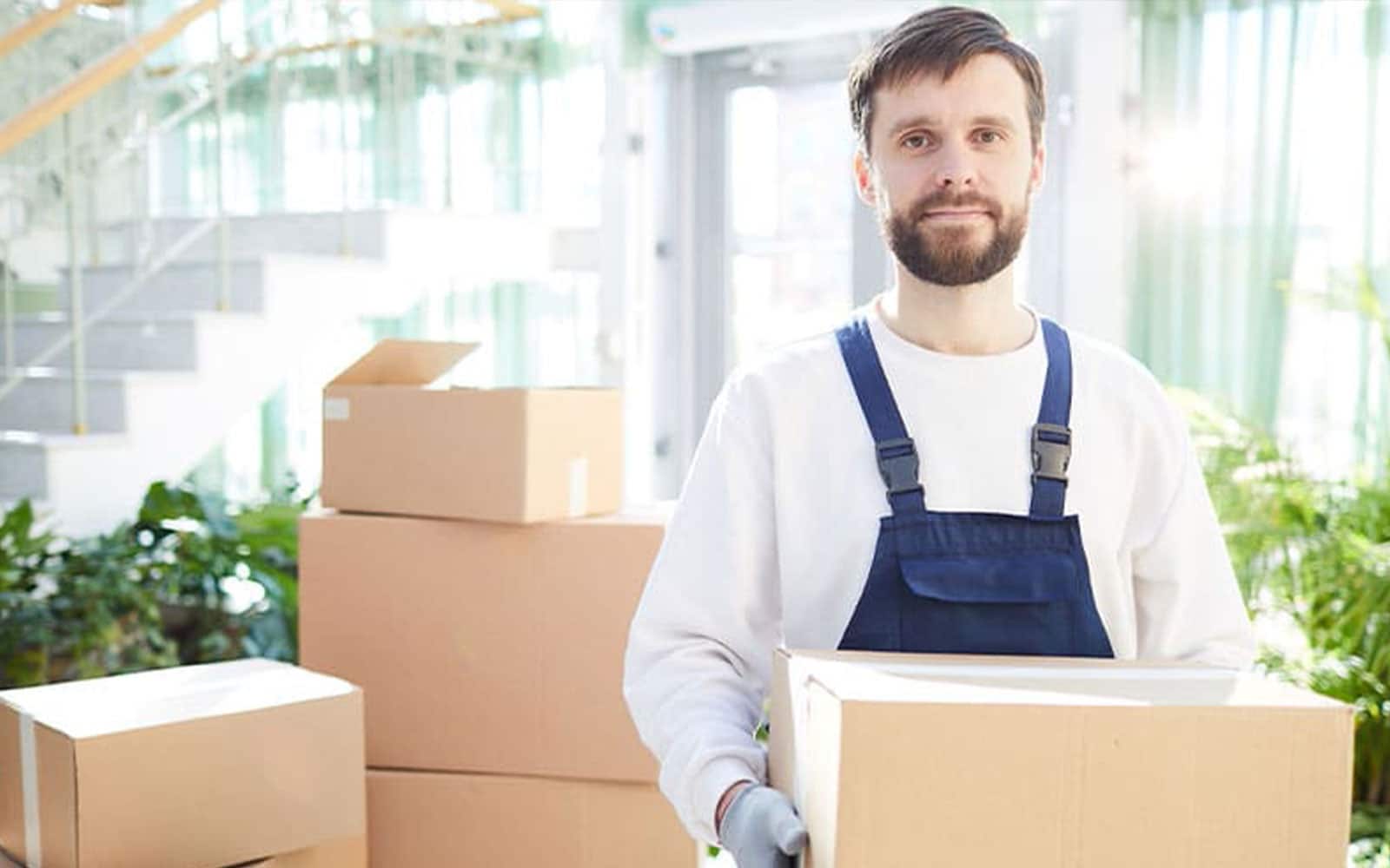 kühlschrank richtig transportieren